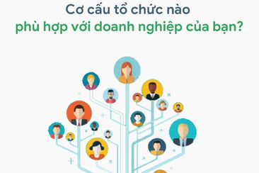 Top 4 cơ cấu tổ chức doanh nghiệp phổ biến hiện nay