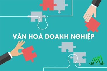 Những nét đặc sắc trong văn hóa doanh nghiệp của các startup ở thế kỷ XXI